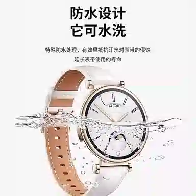 biaodaige GT5watch4rogt5probudsultimatemagic