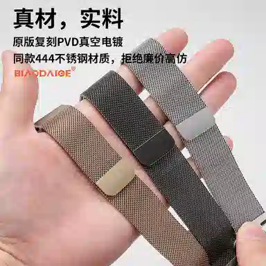 Biaodaige Milanese Strap