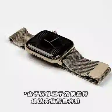 Biaodaige Milanese Strap