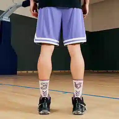 乔丹 美式网眼速干宽松五分篮球裤 男款 佩斯利紫