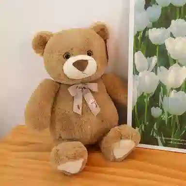 25cm30cm40cm
