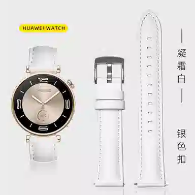 Akkerds Watch GT4 18mm