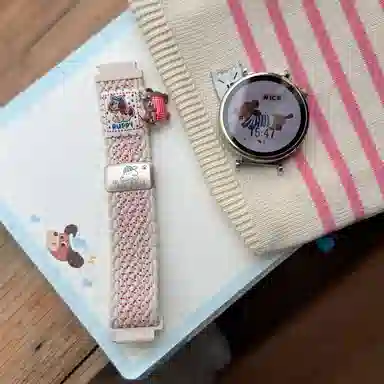 Akkerds watch54GT5GT4GT3Buds