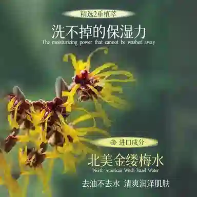 臻芝 美白洗面奶 保湿控油淡斑淡痘印清洁美白