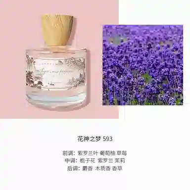 COLORROSE EDP 100ml