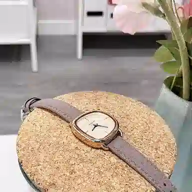 JULIUS JL 30 JW1-393B