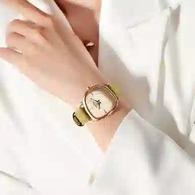 JULIUS JL JW1-393A