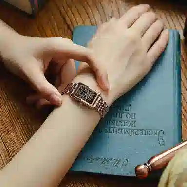 JULIUS JL ins JW1-252D