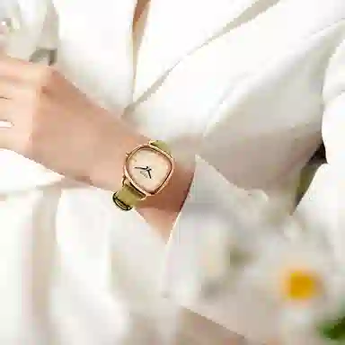 JULIUS JL JW1-393A