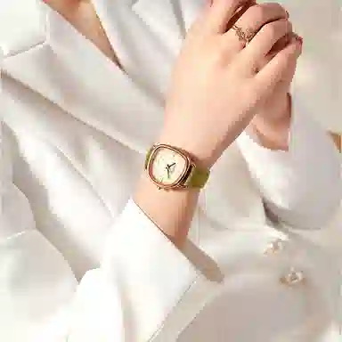 JULIUS JL JW1-393A