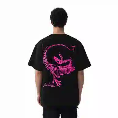 Arcteryx Fantasy LogoT