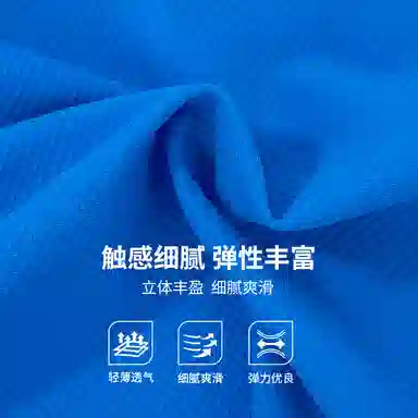 RYDER CUP EST.1927 TPolo