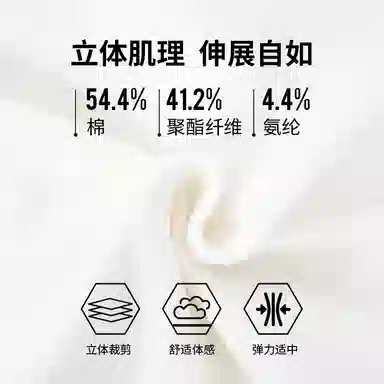 RYDER CUP EST.1927 T