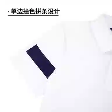 RYDER CUP EST.1927 Polo