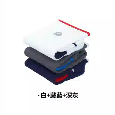 RYDER CUP EST.1927 3