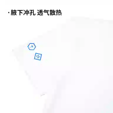 RYDER CUP EST.1927 T