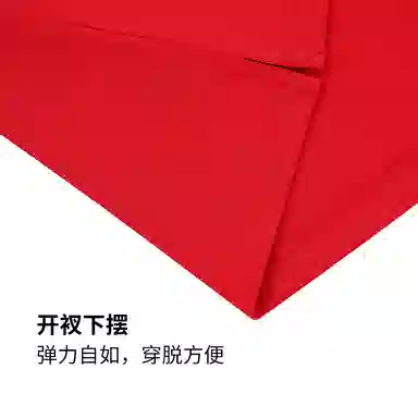 RYDER CUP EST.1927 FW25 T