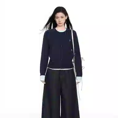 柏黛妃 舒适时尚通勤针织衫 女款