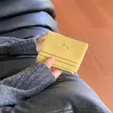 Tagi. pu