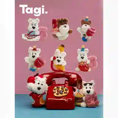 Tagi. 66go 10cm13.5cm16cm