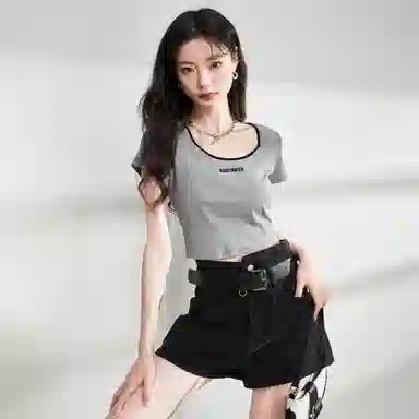 WESTLINK T