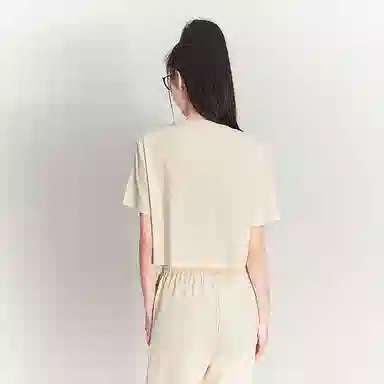 WESTLINK T