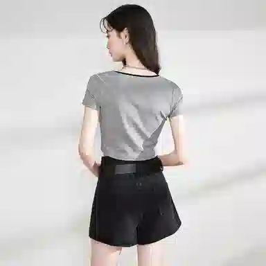 WESTLINK T