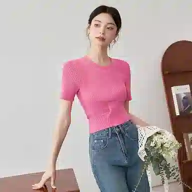 WESTLINK T