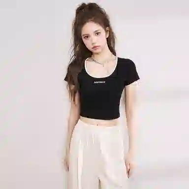 WESTLINK T