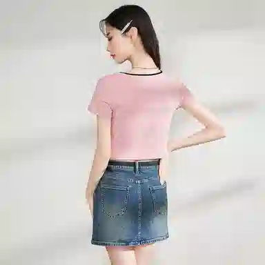 WESTLINK T