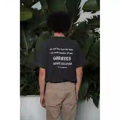 The Last Redemption T