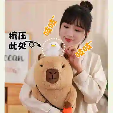 X3COMMUNE capybara 20cm30cm