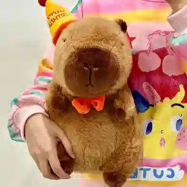 X3COMMUNE 35cm45cm60cm75cm