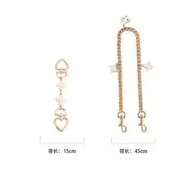 匠心手工坊 适用蔻驰流浪包延长链加长链条装饰链 内胆超轻防水杜邦纸内衬袋 金属合金 包肩带 女款 直金色/白利色