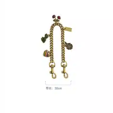 Coach Taxi21 Totediy