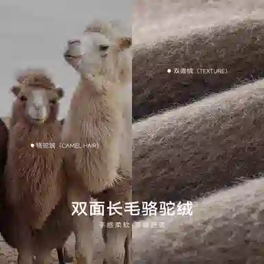 A.B.X Balmacaan Coat