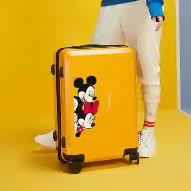 MESUCA ABS+PC 20242622