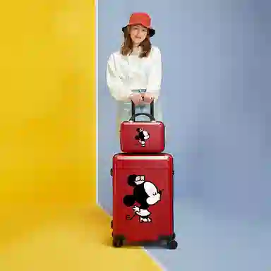 MESUCA ABS+PC 20242622