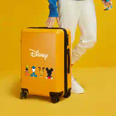 MESUCA ABS+PC 20242622