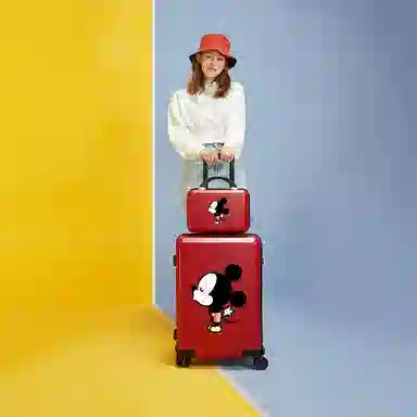 MESUCA ABS+PC 20222426