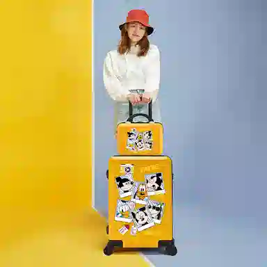 MESUCA ABS+PC 20242622