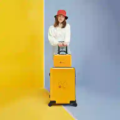 MESUCA ABS+PC 20242622