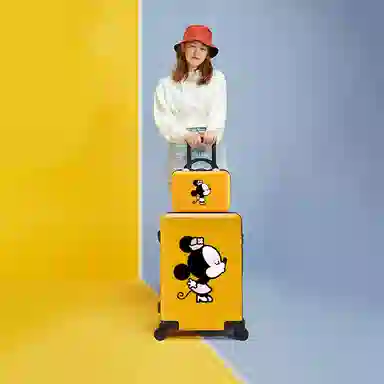 MESUCA ABS+PC 20242622