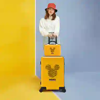 MESUCA ABS+PC 20242622