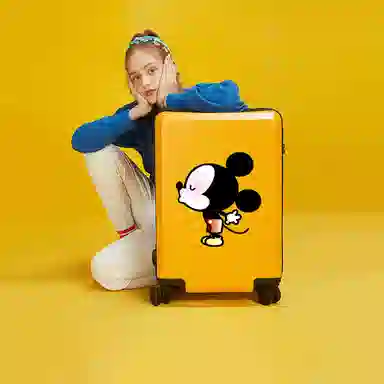 MESUCA ABS+PC 20242622