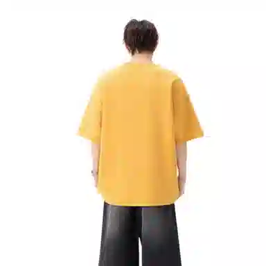 HANDAIWEI T