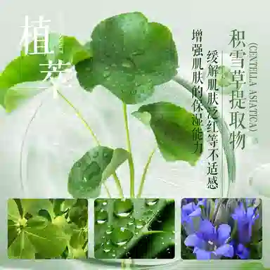 Lancer King 100ml+120ml