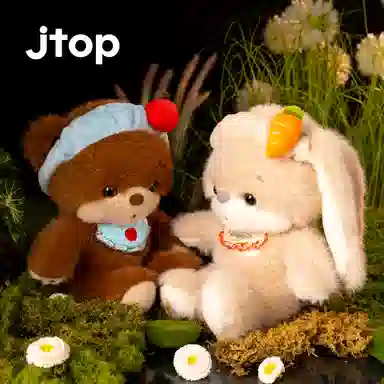 JTOP 25cm