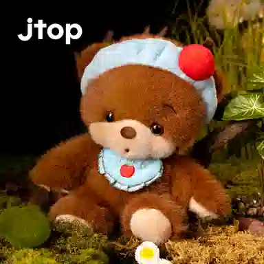 JTOP 25cm