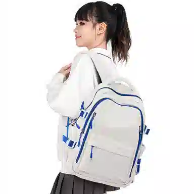 LANDCASE Backpack